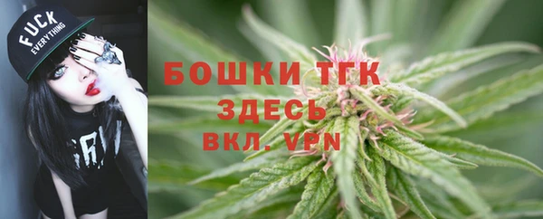 сатива Кукмор