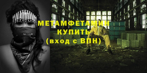 сатива Кукмор