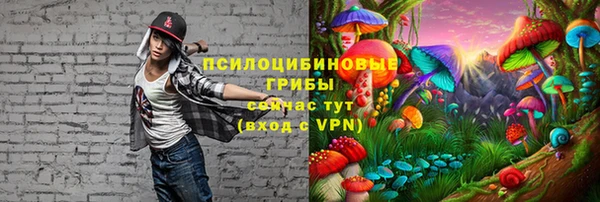 каннабис Лабытнанги