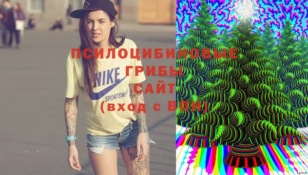 кокс Ладушкин