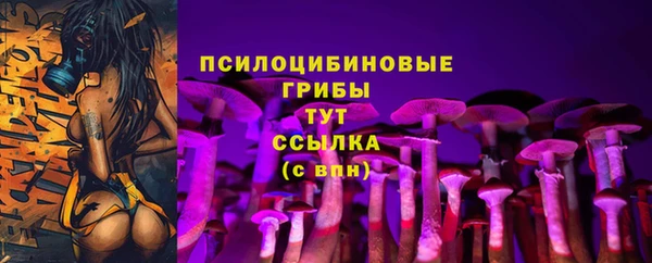 сатива Кукмор